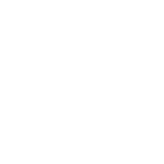 octopus-icon